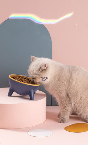 Pet Feeding Food Bowl With Stand