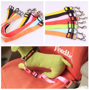 Fixed Strap Polyester Dog Strap Leash