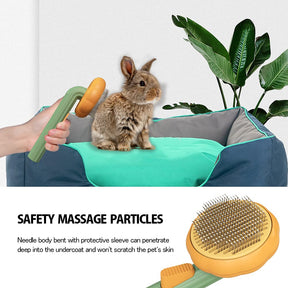 Pet Grooming Pumpkin Brush